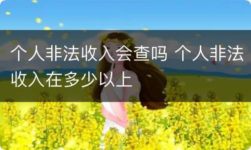 个人非法收入会查吗 个人非法收入在多少以上