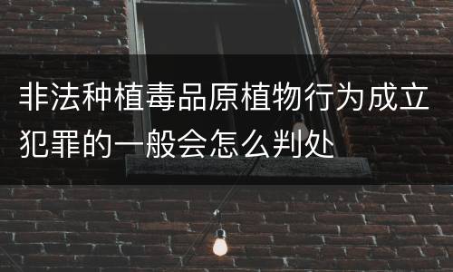 非法种植毒品原植物行为成立犯罪的一般会怎么判处