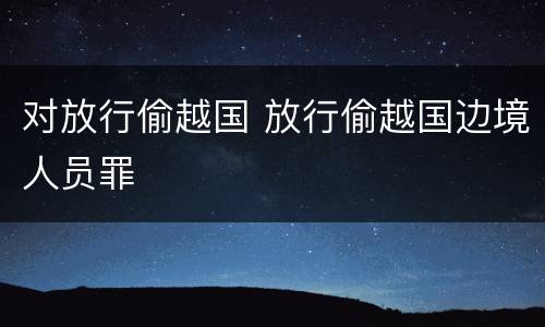 对放行偷越国 放行偷越国边境人员罪