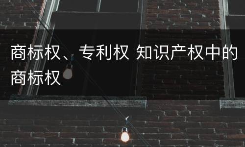商标权、专利权 知识产权中的商标权