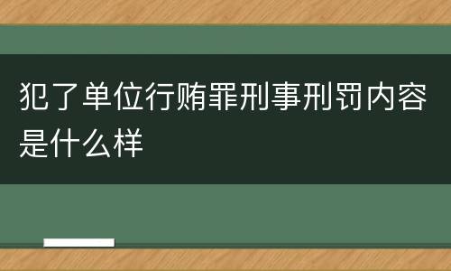 犯了单位行贿罪刑事刑罚内容是什么样