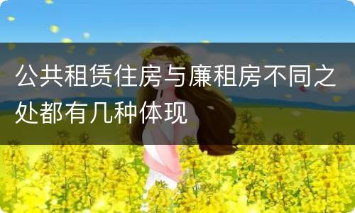 公共租赁住房与廉租房不同之处都有几种体现