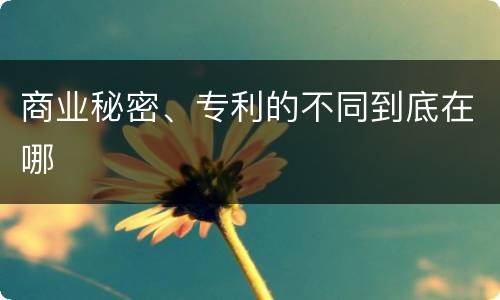 商业秘密、专利的不同到底在哪