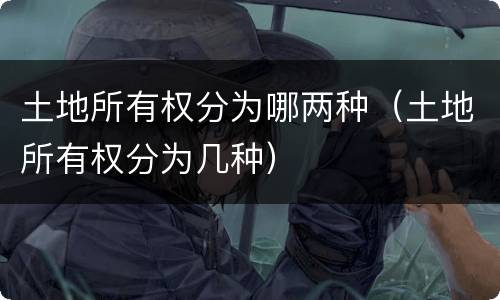 土地所有权分为哪两种（土地所有权分为几种）