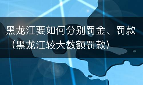 黑龙江要如何分别罚金、罚款（黑龙江较大数额罚款）