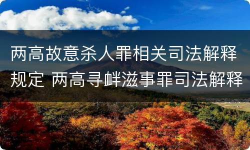 两高故意杀人罪相关司法解释规定 两高寻衅滋事罪司法解释
