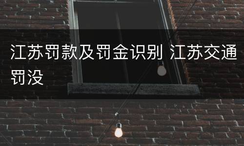 江苏罚款及罚金识别 江苏交通罚没