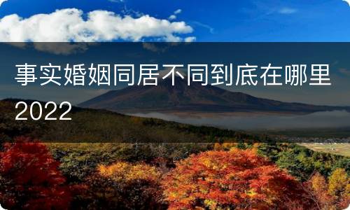 事实婚姻同居不同到底在哪里2022
