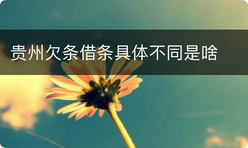 贵州欠条借条具体不同是啥