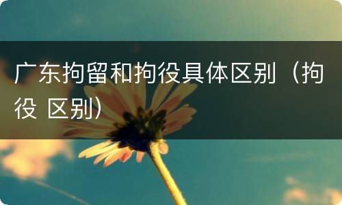 广东拘留和拘役具体区别（拘役 区别）