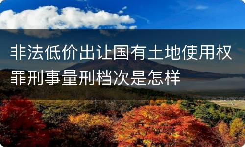 非法低价出让国有土地使用权罪刑事量刑档次是怎样