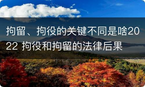 拘留、拘役的关键不同是啥2022 拘役和拘留的法律后果