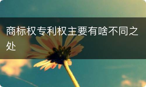 商标权专利权主要有啥不同之处