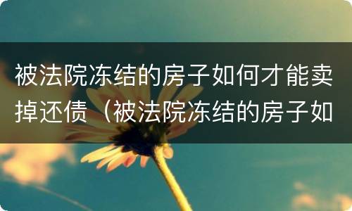 被法院冻结的房子如何才能卖掉还债（被法院冻结的房子如何才能卖掉还债）