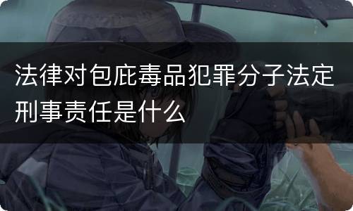 法律对包庇毒品犯罪分子法定刑事责任是什么