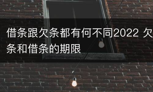 借条跟欠条都有何不同2022 欠条和借条的期限