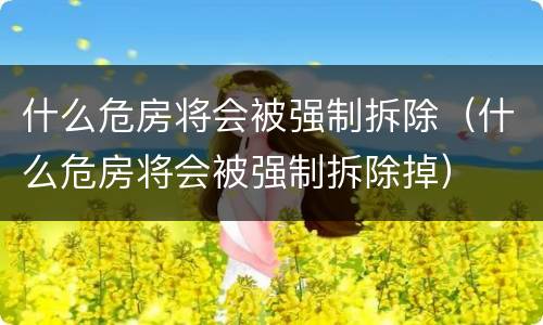 什么危房将会被强制拆除（什么危房将会被强制拆除掉）