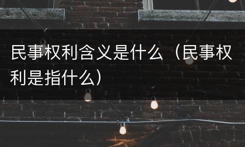 民事权利含义是什么（民事权利是指什么）