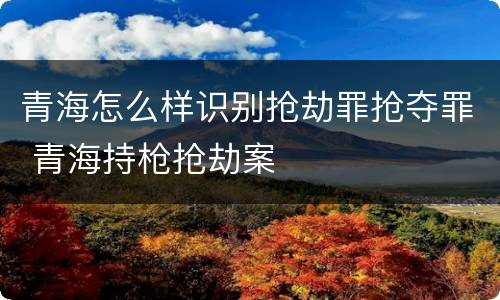 青海怎么样识别抢劫罪抢夺罪 青海持枪抢劫案