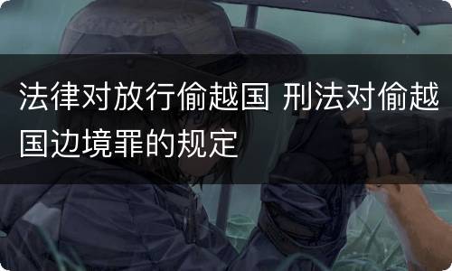 法律对放行偷越国 刑法对偷越国边境罪的规定