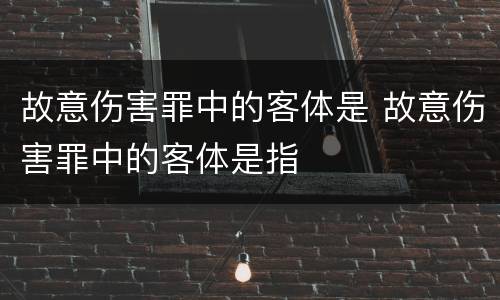 故意伤害罪中的客体是 故意伤害罪中的客体是指