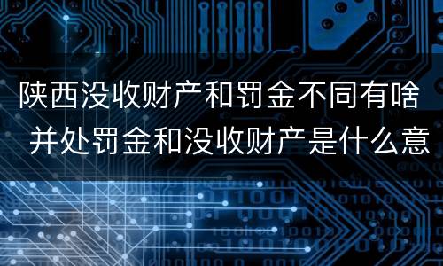 陕西没收财产和罚金不同有啥 并处罚金和没收财产是什么意思
