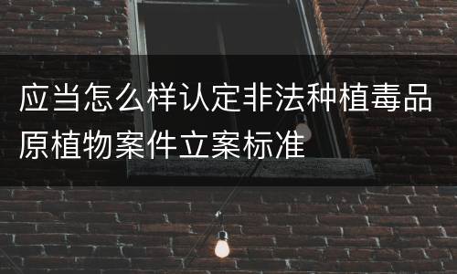 应当怎么样认定非法种植毒品原植物案件立案标准
