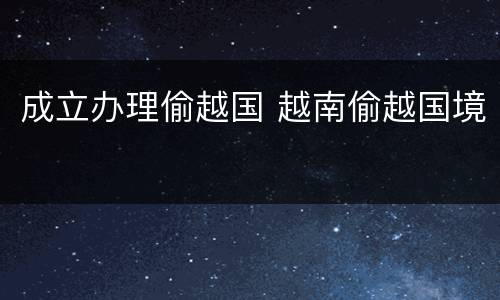 成立办理偷越国 越南偷越国境