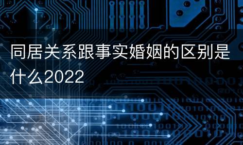 同居关系跟事实婚姻的区别是什么2022