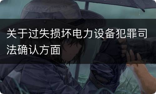关于过失损坏电力设备犯罪司法确认方面