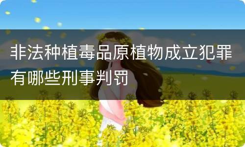非法种植毒品原植物成立犯罪有哪些刑事判罚
