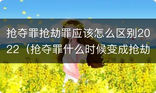 抢夺罪抢劫罪应该怎么区别2022（抢夺罪什么时候变成抢劫罪）