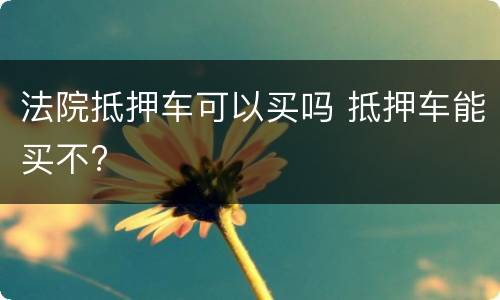 法院抵押车可以买吗 抵押车能买不?