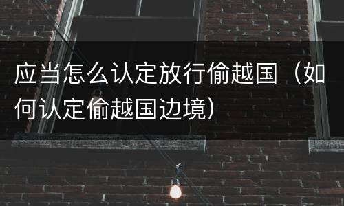 应当怎么认定放行偷越国（如何认定偷越国边境）