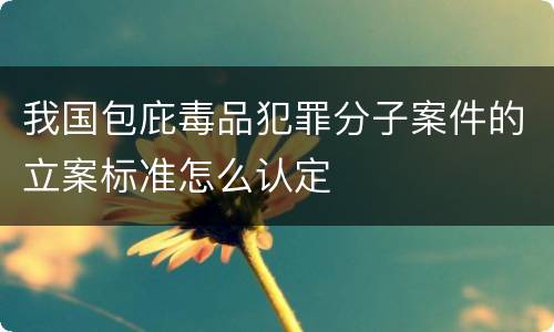 我国包庇毒品犯罪分子案件的立案标准怎么认定