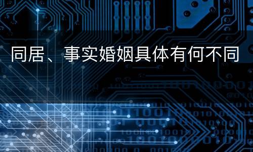 同居、事实婚姻具体有何不同