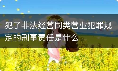 犯了非法经营同类营业犯罪规定的刑事责任是什么