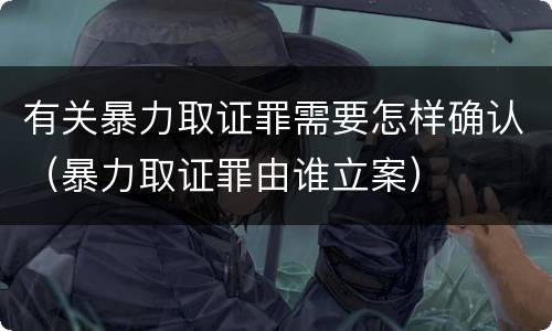 有关暴力取证罪需要怎样确认（暴力取证罪由谁立案）