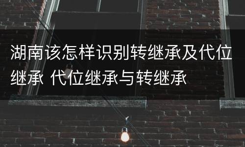 湖南该怎样识别转继承及代位继承 代位继承与转继承