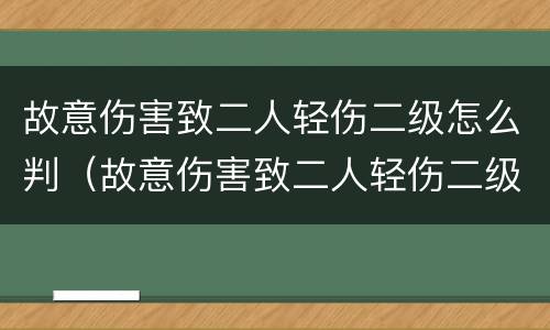 故意伤害致二人轻伤二级怎么判（故意伤害致二人轻伤二级判多久）
