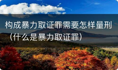构成暴力取证罪需要怎样量刑（什么是暴力取证罪）