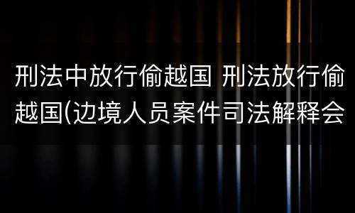 刑法中放行偷越国 刑法放行偷越国(边境人员案件司法解释会如何规定