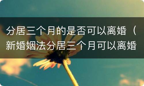 分居三个月的是否可以离婚（新婚姻法分居三个月可以离婚吗?）