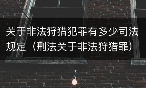 关于非法狩猎犯罪有多少司法规定（刑法关于非法狩猎罪）