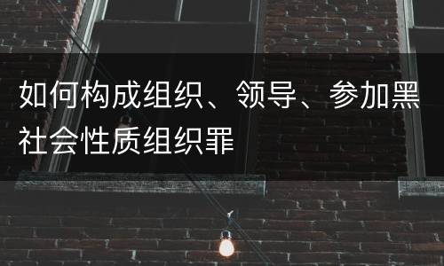 如何构成组织、领导、参加黑社会性质组织罪