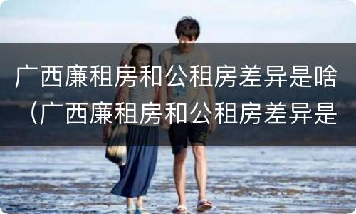 广西廉租房和公租房差异是啥（广西廉租房和公租房差异是啥意思）