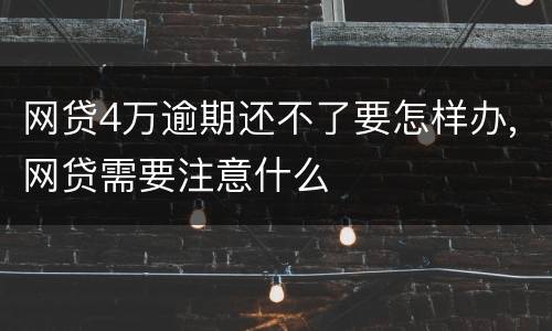 网贷4万逾期还不了要怎样办,网贷需要注意什么