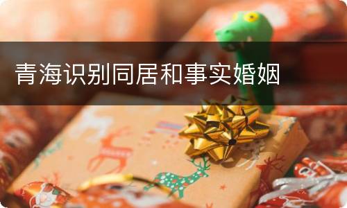 青海识别同居和事实婚姻