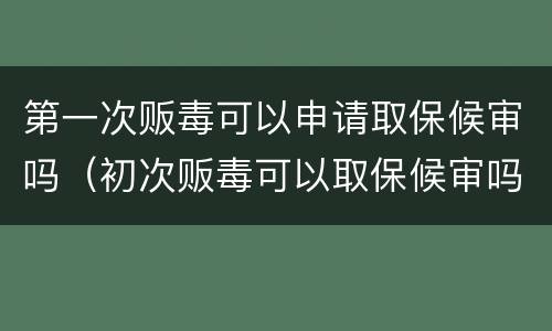 第一次贩毒可以申请取保候审吗（初次贩毒可以取保候审吗）