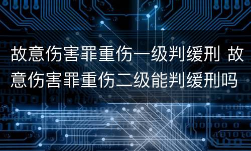 故意伤害罪重伤一级判缓刑 故意伤害罪重伤二级能判缓刑吗